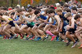 Competing at the highest level is not about winning. It's about preparation, courage, understanding and nurturing your people Competing at the highest level is not about winning. It's about preparation, courage, understanding and nurturing your people